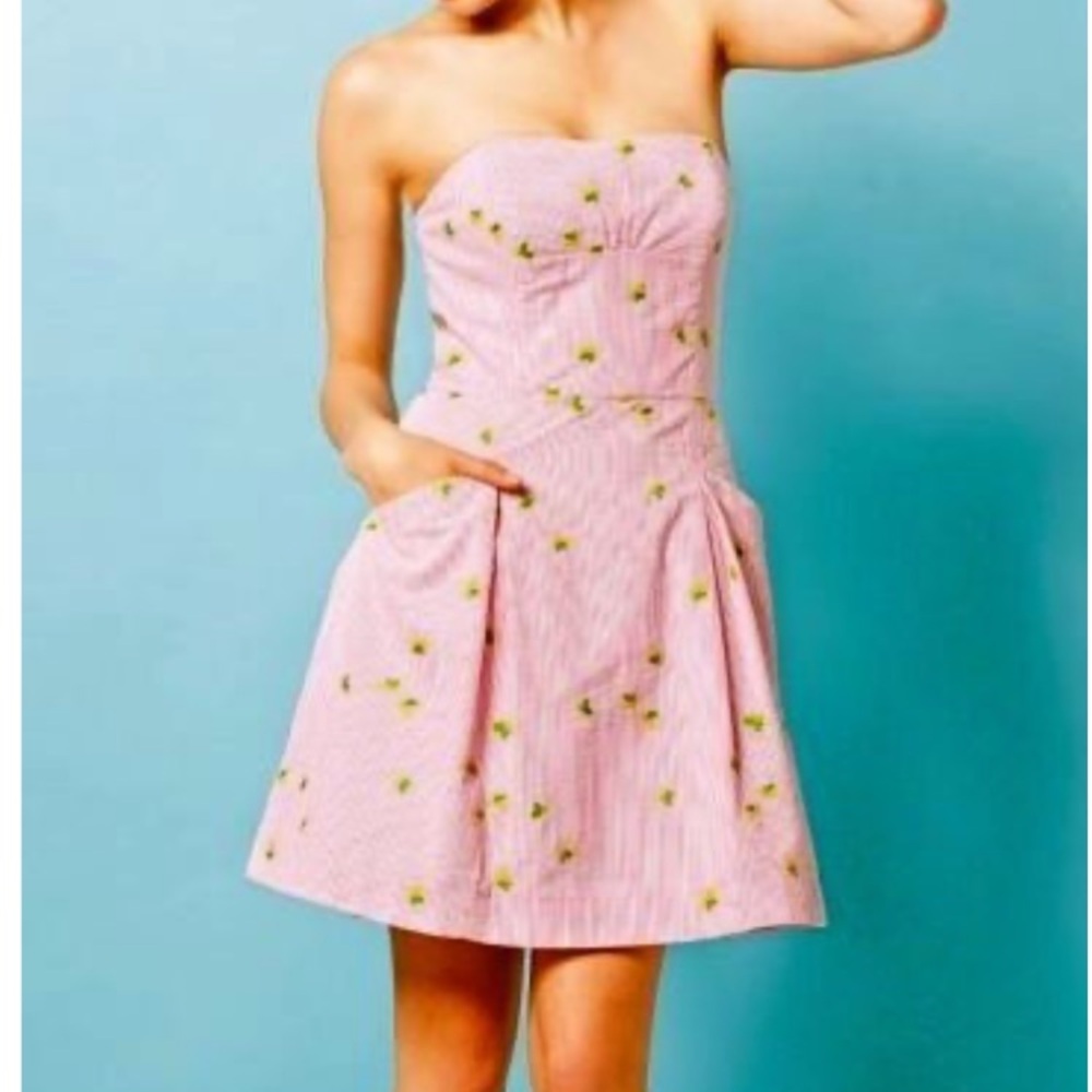 NWT Lilly Pulitzer Blossom Resort Hotty Pink
Buzzin Around Embroidery
Dress SZ 2